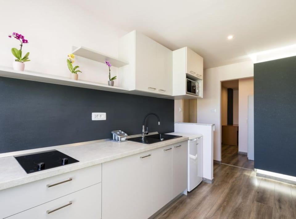 Apartment (Pansion Belvedere - One Bedroom) | Private kitchen | Fridge