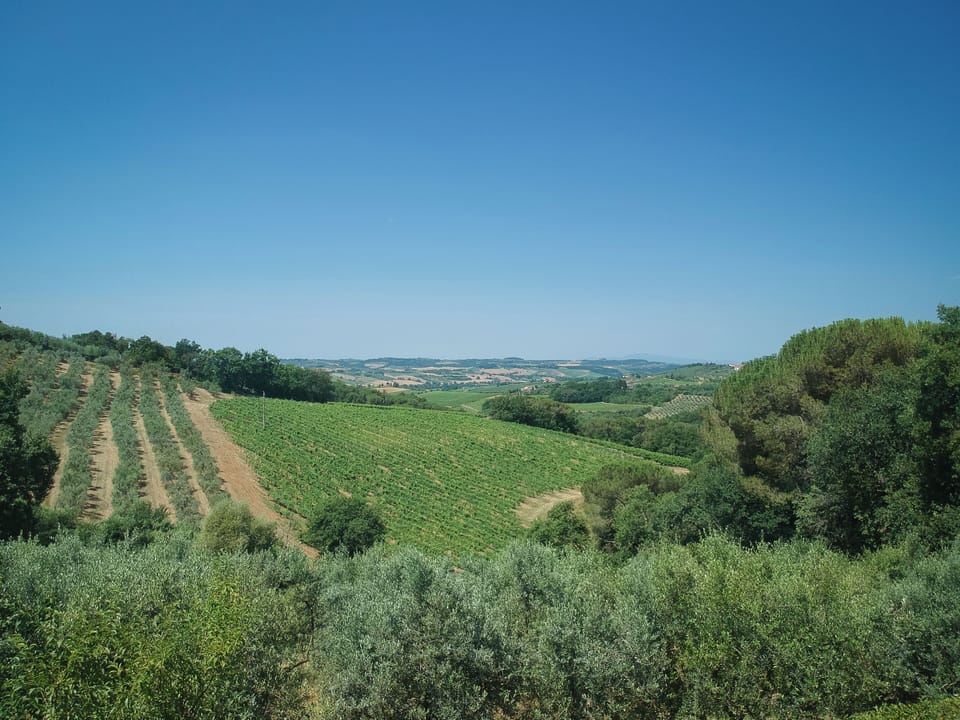 Land view from property
