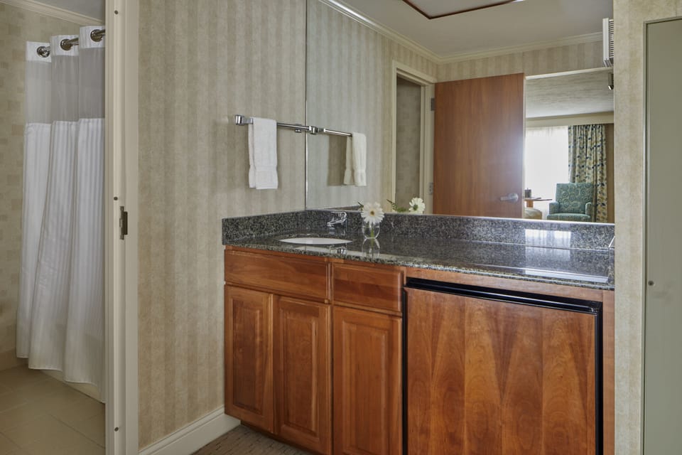 Combined shower/tub, hair dryer, towels