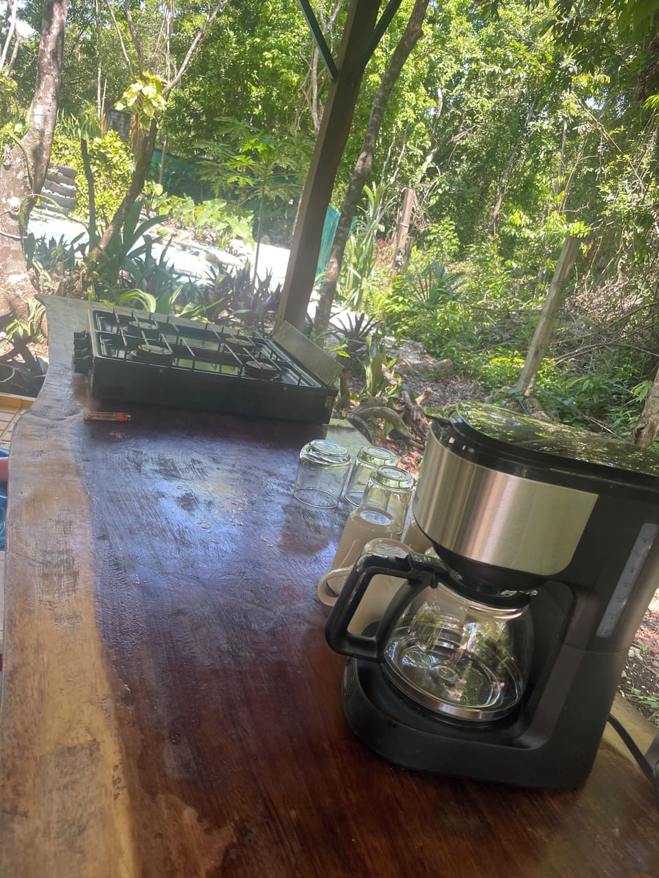 Mini-fridge, coffee/tea maker, blender, cookware/dishes/utensils