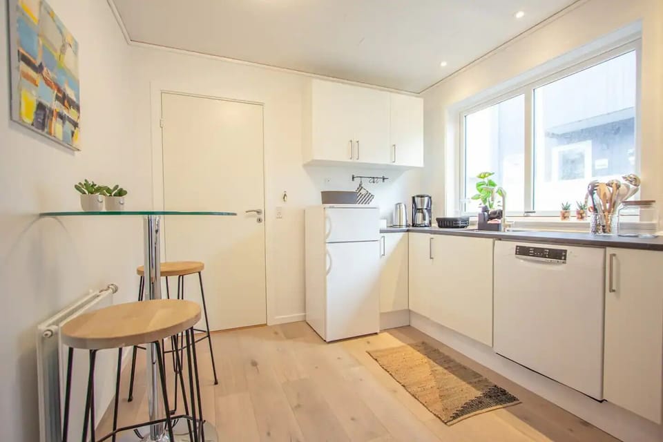 Standard Apartment | Private kitchen | Coffee/tea maker, full-size fridge, oven, stovetop