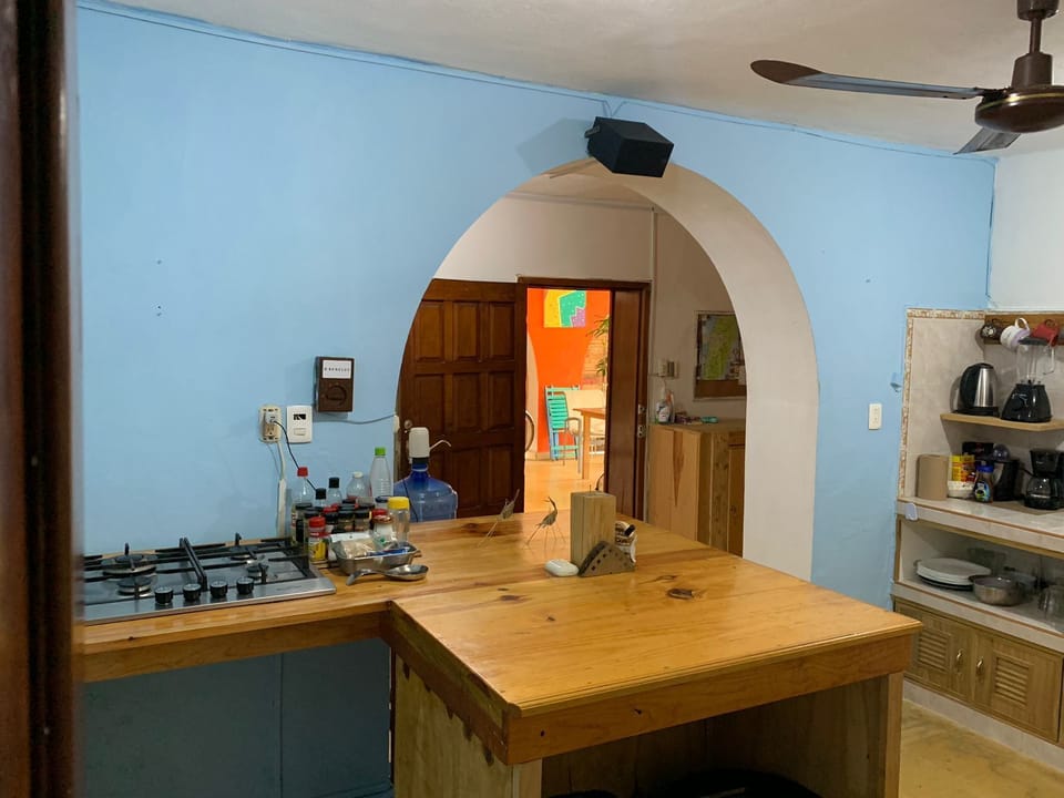 Stovetop, blender, cookware/dishes/utensils