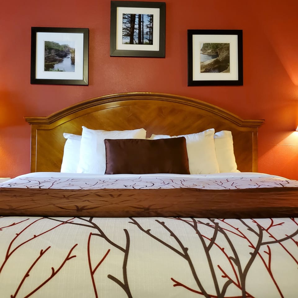 Basic Room, 1 Queen Bed | Desk, laptop workspace, blackout drapes, iron/ironing board