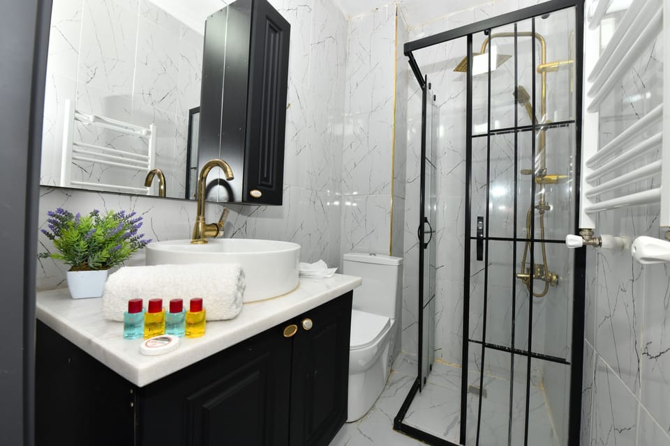 Deluxe Suite | Bathroom | Shower, hair dryer, towels, soap