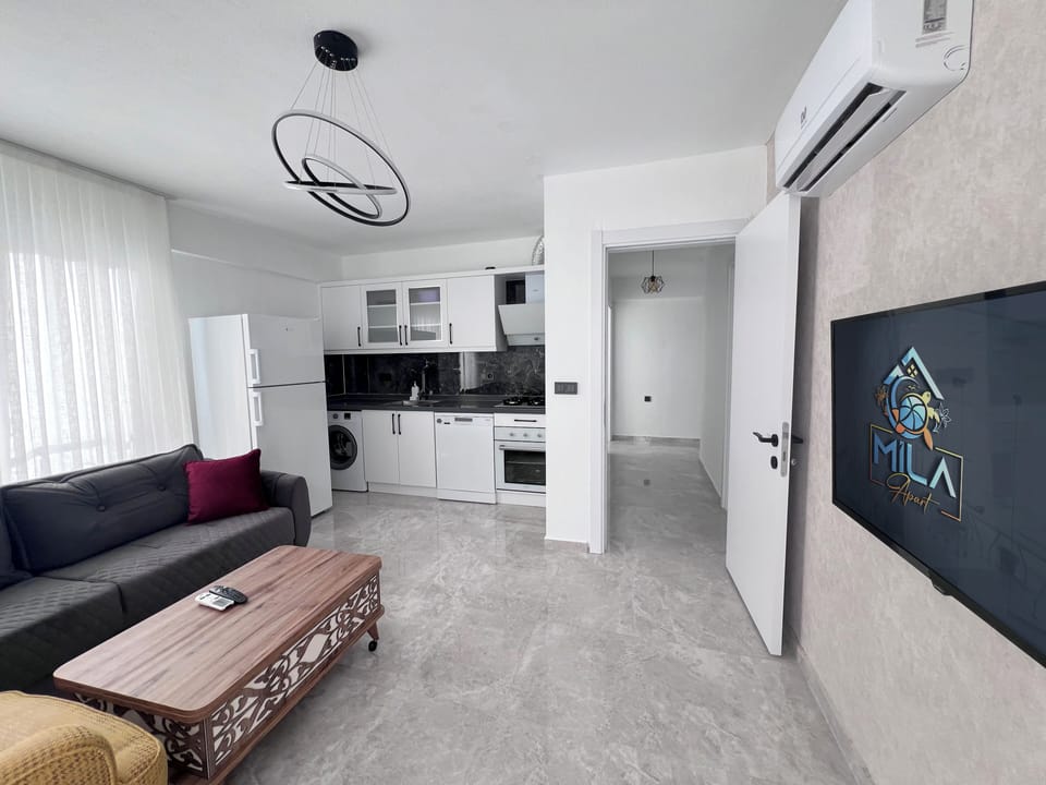 43-inch Smart TV with satellite channels