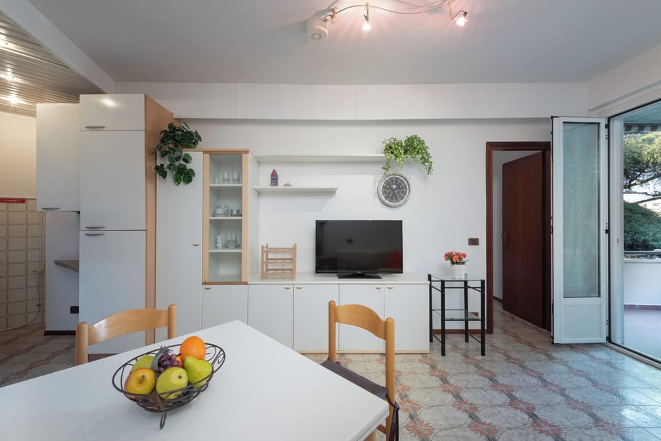 Apartment | Living area | TV