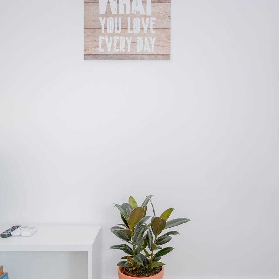 House | 1 bedroom, high-speed internet