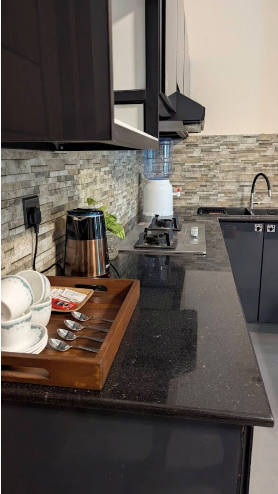 Classic Apartment, Balcony, Lake View | Private kitchen | Electric kettle, eco-friendly cleaning products