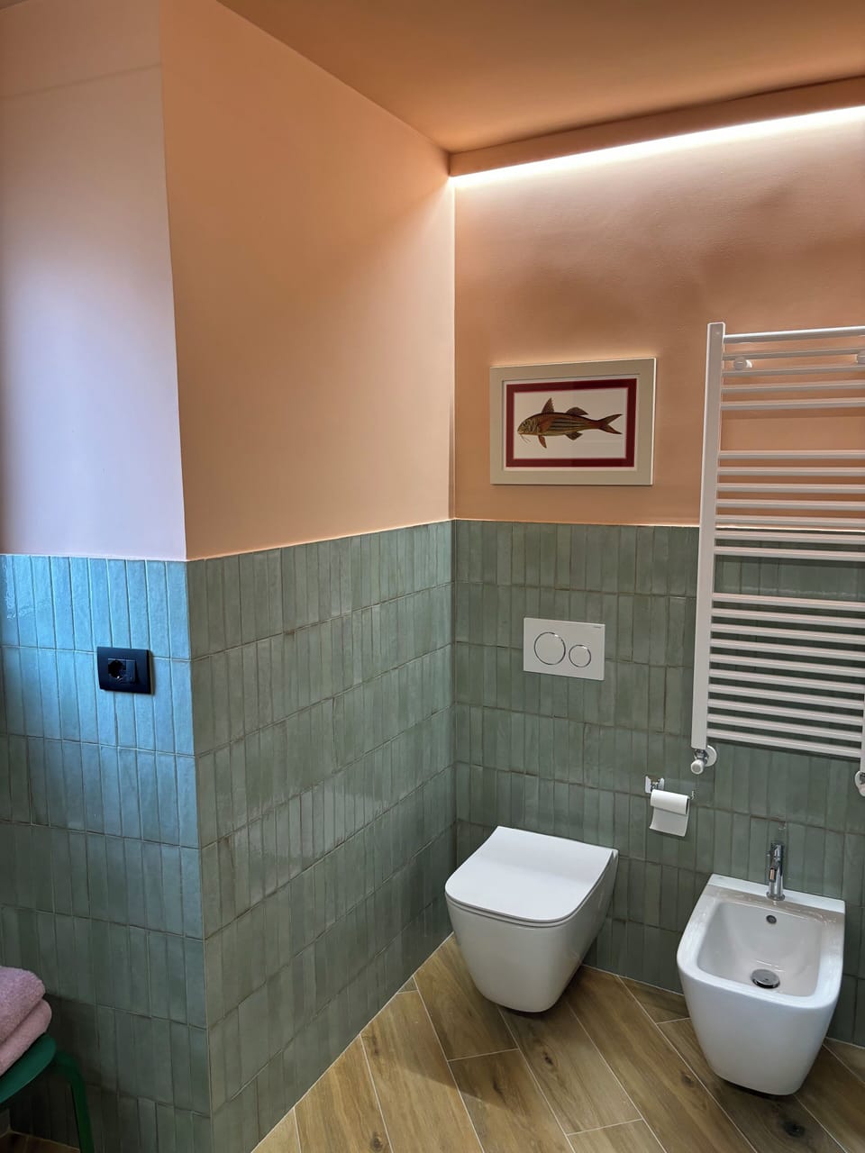 Shower, hair dryer, bidet, towels