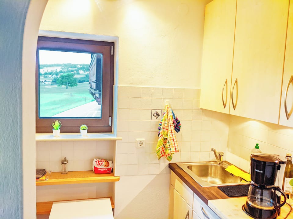 Panoramic Apartment, Mountain View | Private kitchen | Full-size fridge, microwave, oven, stovetop