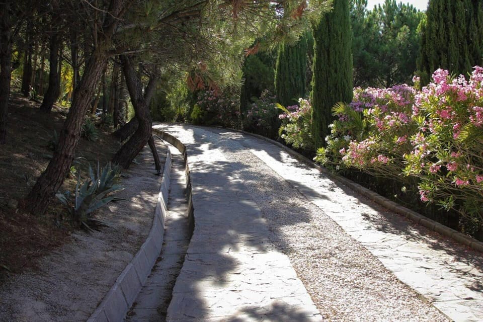 House | Property grounds