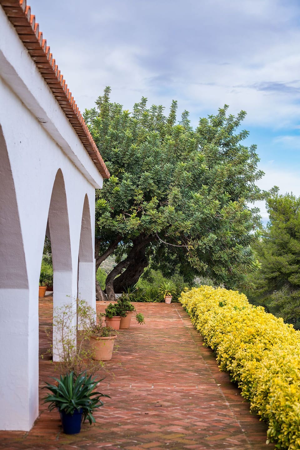 Cottage | Property grounds