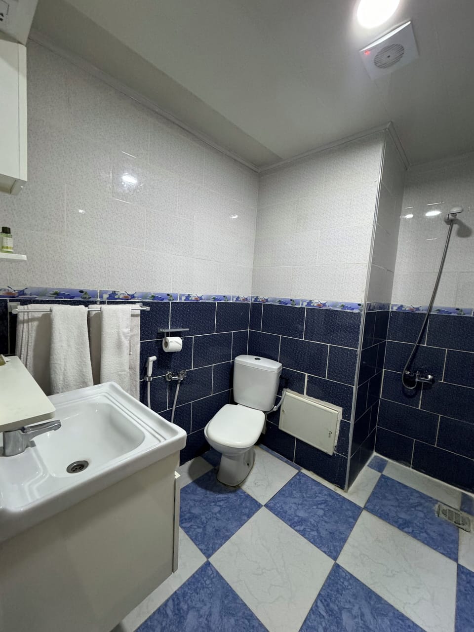 Double or Twin Room | Bathroom | Shower, free toiletries, towels, soap