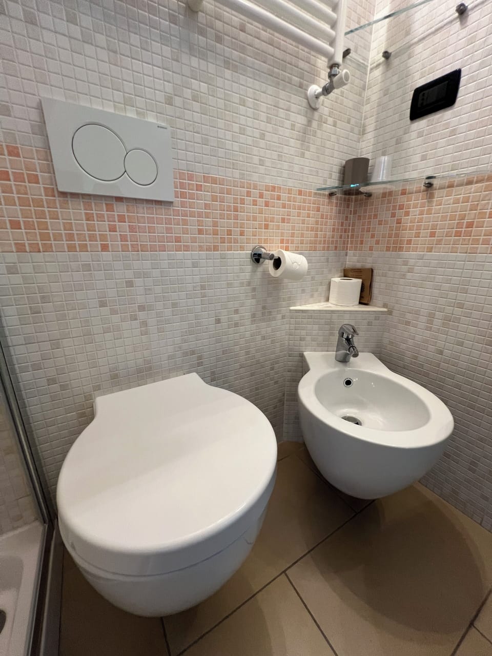 Shower, hair dryer, bidet, towels