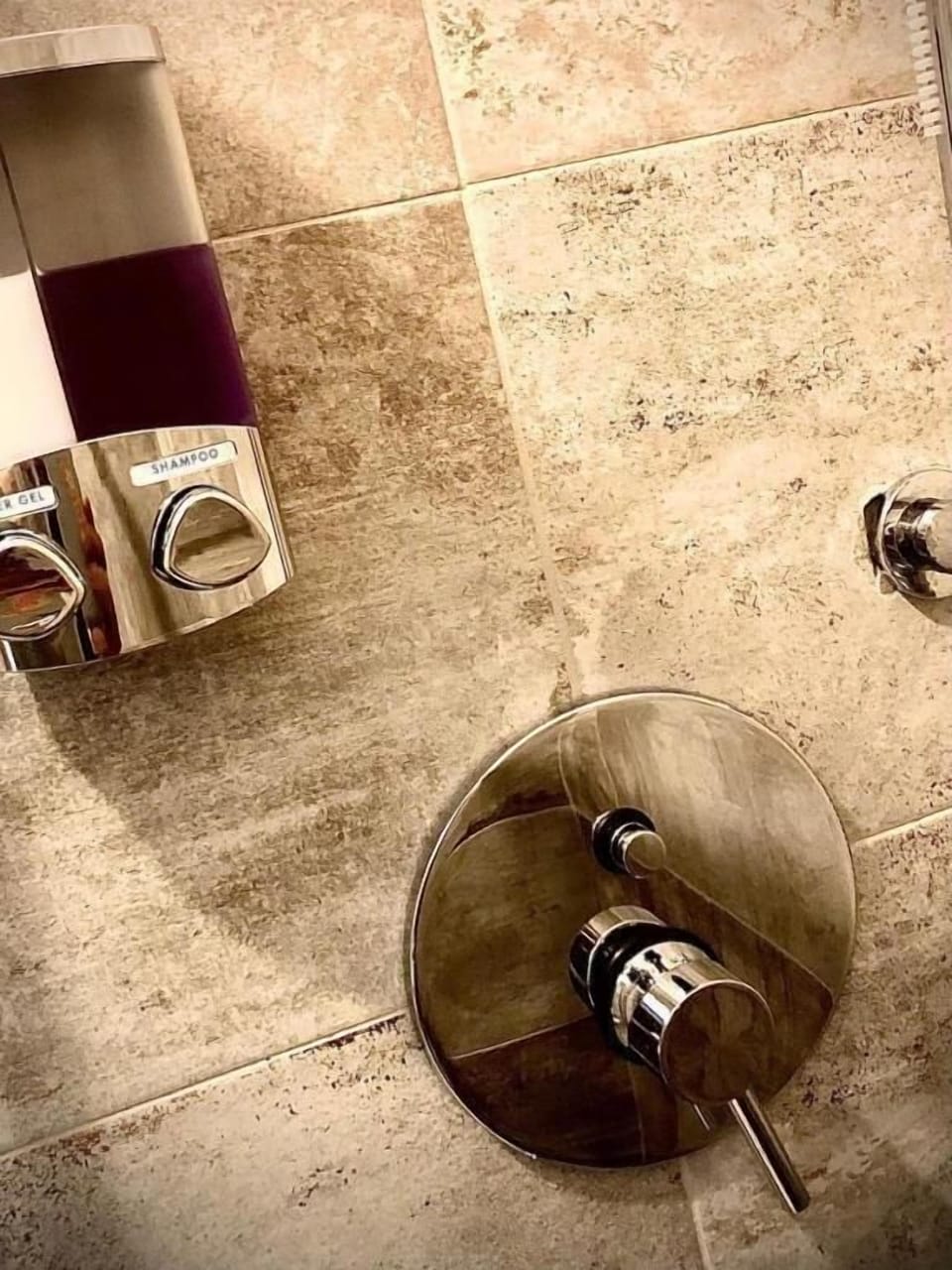 Hair dryer, bathrobes, bidet, towels