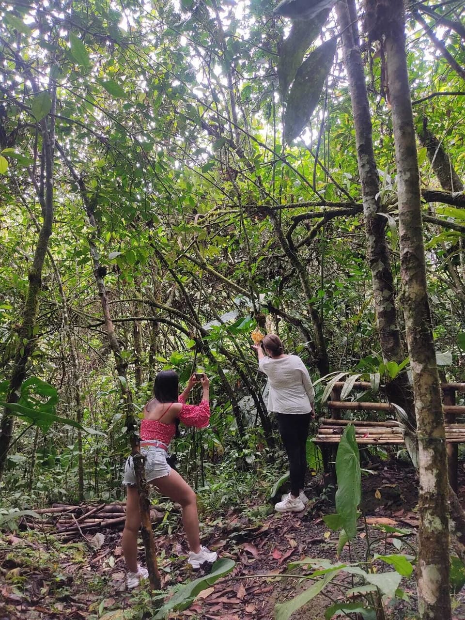 Ecotours