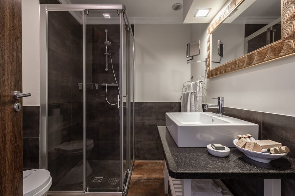 Standard Double or Twin Room (Garden or Pool View -Guest house) | Bathroom | Shower, rainfall showerhead, hair dryer, bidet
