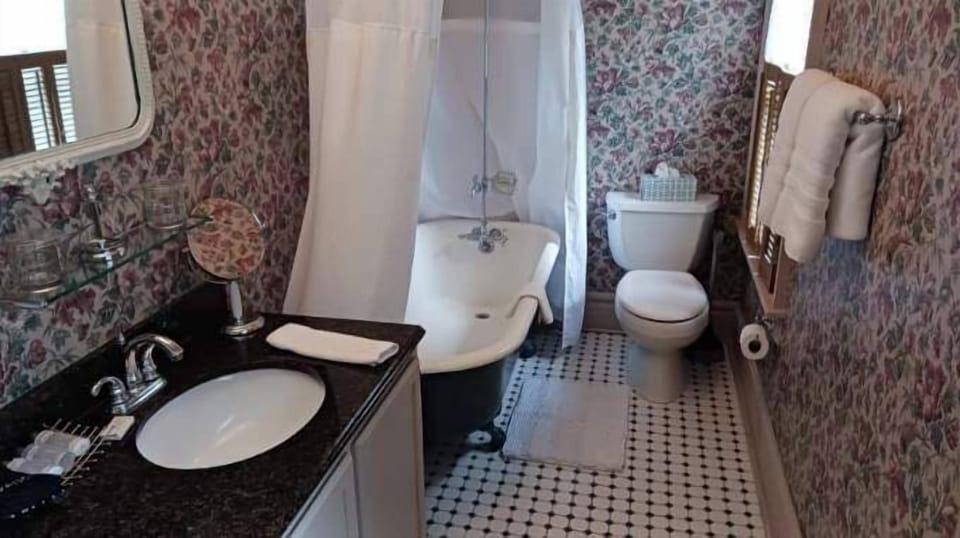 Individually decorated, individually furnished, iron/ironing board