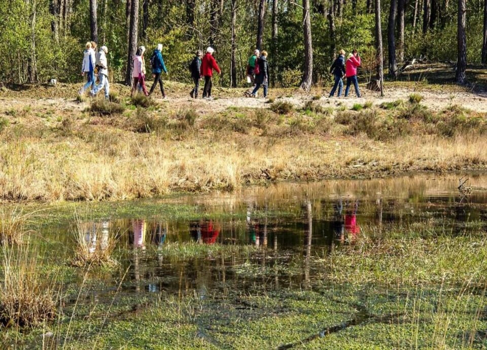 Chalet | View from property