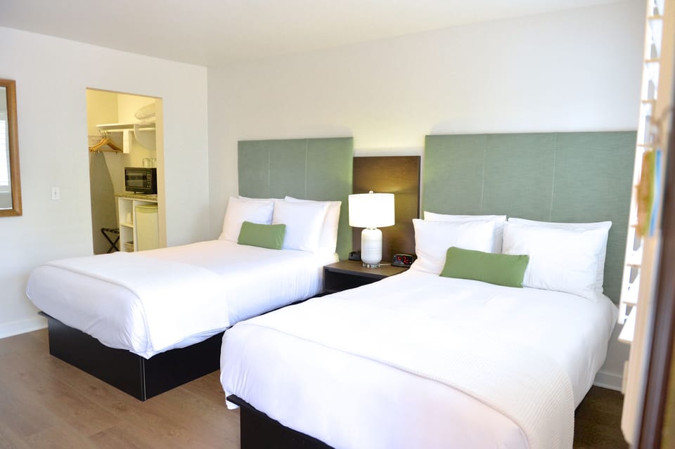 Standard Double Room, Refrigerator & Microwave | Desk, soundproofing, iron/ironing board, free WiFi