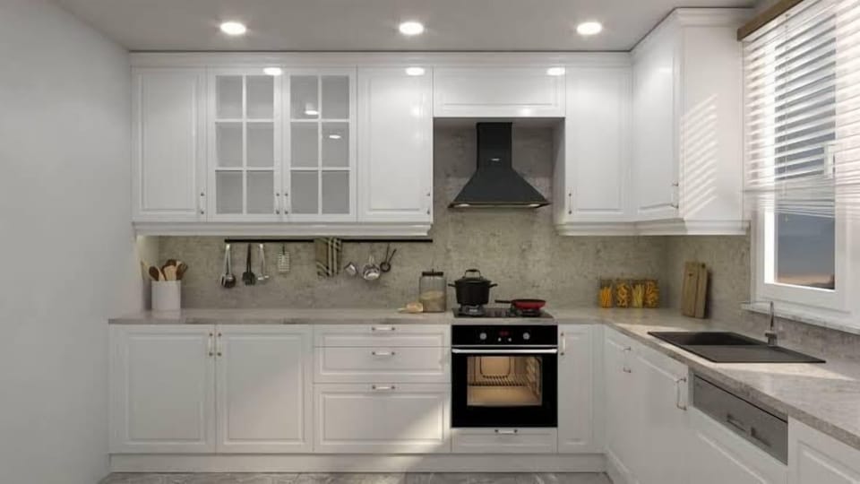 Fridge, oven, stovetop, cookware/dishes/utensils
