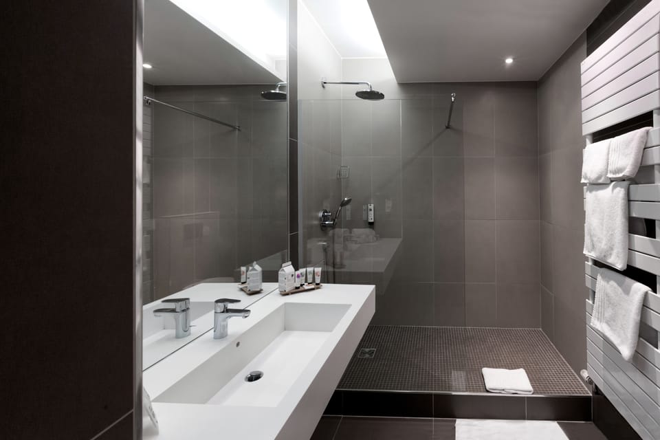 Deluxe Twin Room | Bathroom | Shower, hair dryer, towels