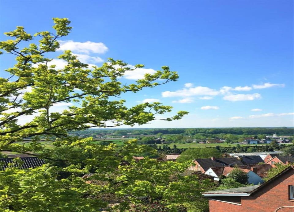 House | View from property