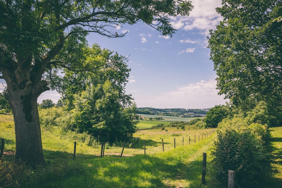 Bungalow | View from property