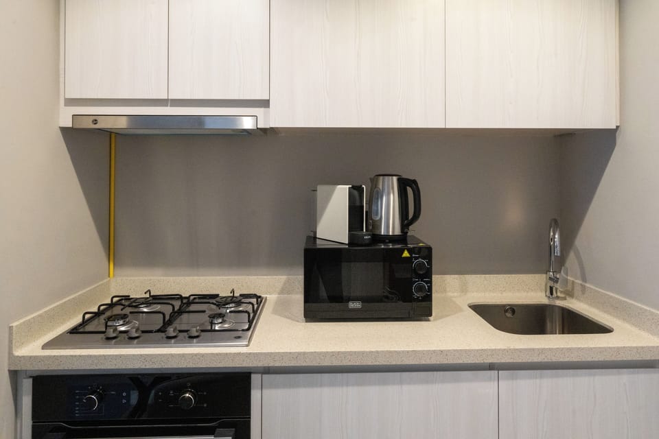 Deluxe Apartment, Balcony, Lake View | Private kitchen | Fridge, microwave, oven, stovetop