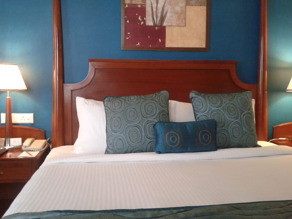 Deluxe Double Room, 1 Twin Bed | Living room | DVD player