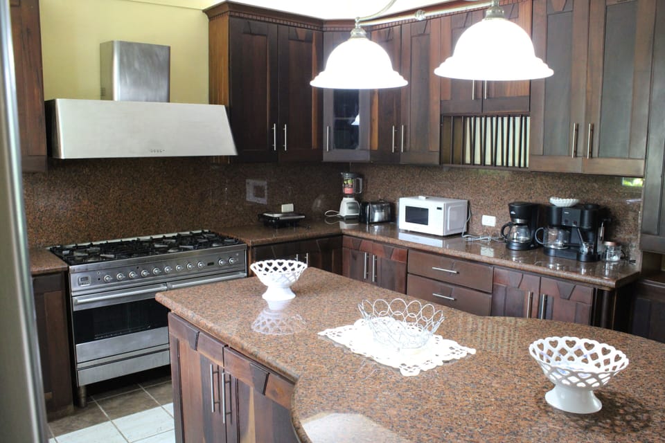 Premium Villa | Private kitchen | Full-size fridge, microwave, oven, dishwasher