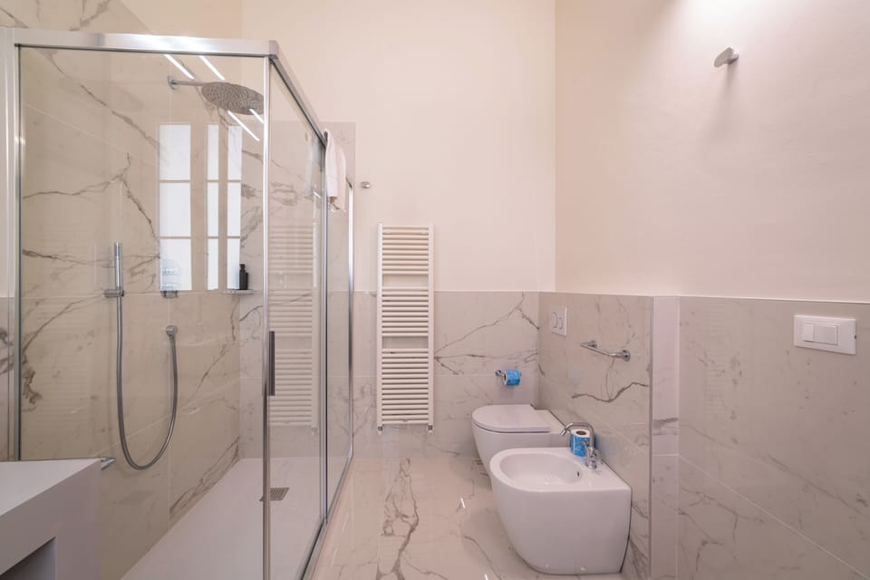 Shower, hair dryer, bidet, towels