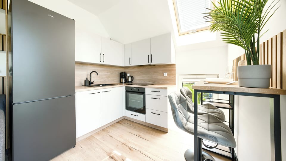 Apartment (26) | Private kitchenette | Electric kettle