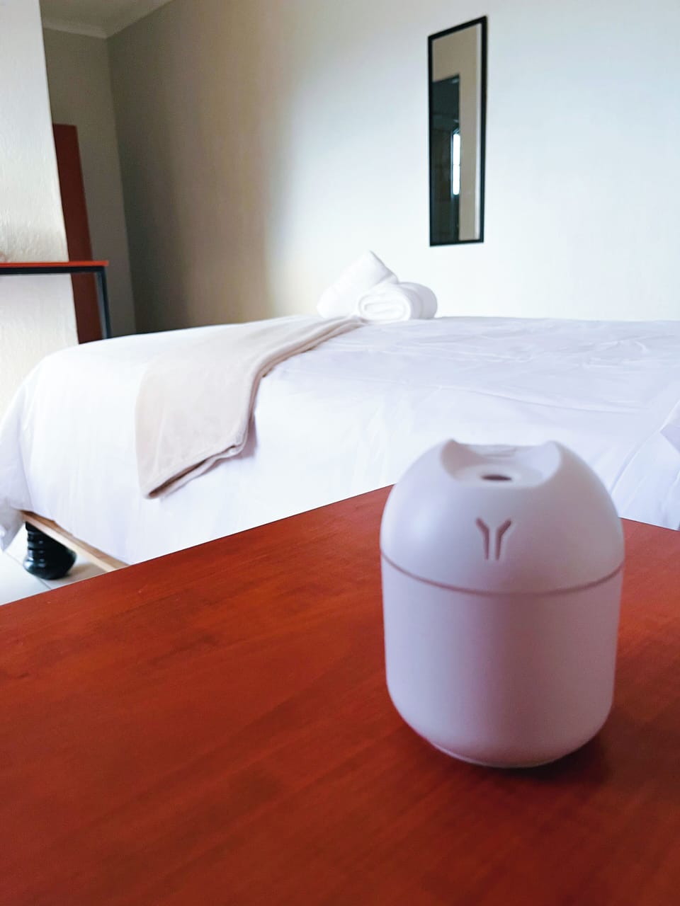 Deluxe Double Room | Desk, WiFi (free)
