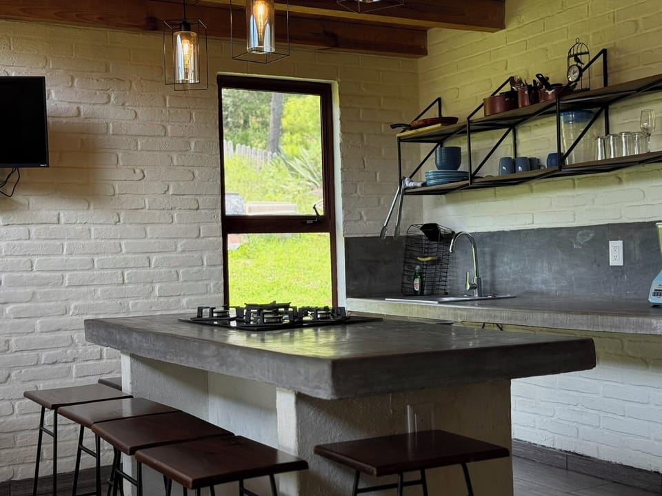 Premier Cabin | Private kitchen | Full-size fridge, dishwasher, coffee/tea maker, cookware/dishes/utensils