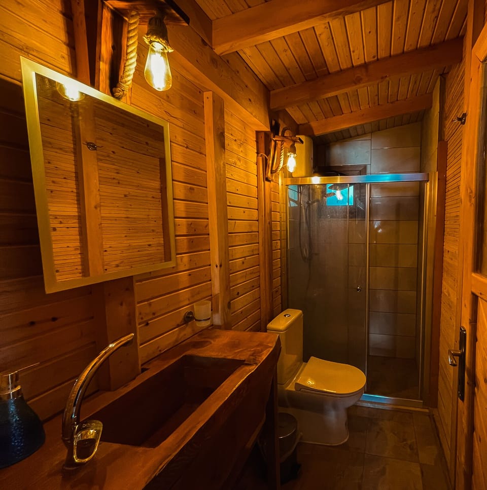 Petunya Evi | Bathroom | Hair dryer, towels, soap, shampoo