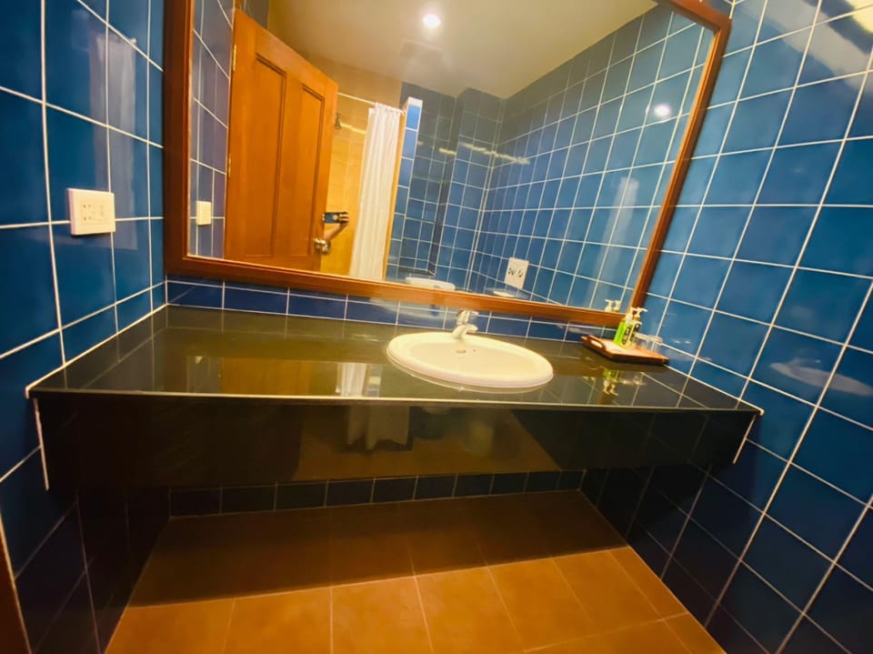 Shower, free toiletries, bidet, towels
