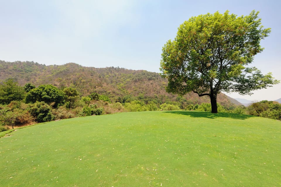Cottage, Mountain View | Garden view