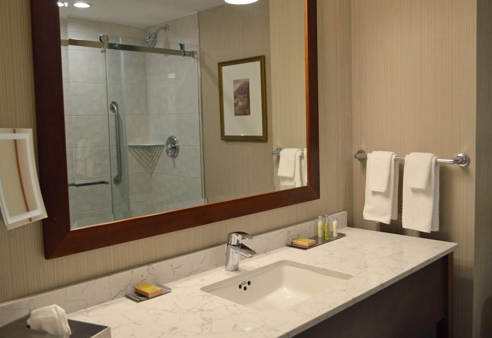 Hair dryer, towels, soap, shampoo