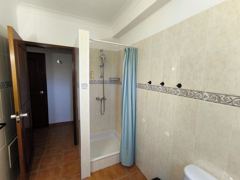 Hair dryer, towels, shampoo, toilet paper