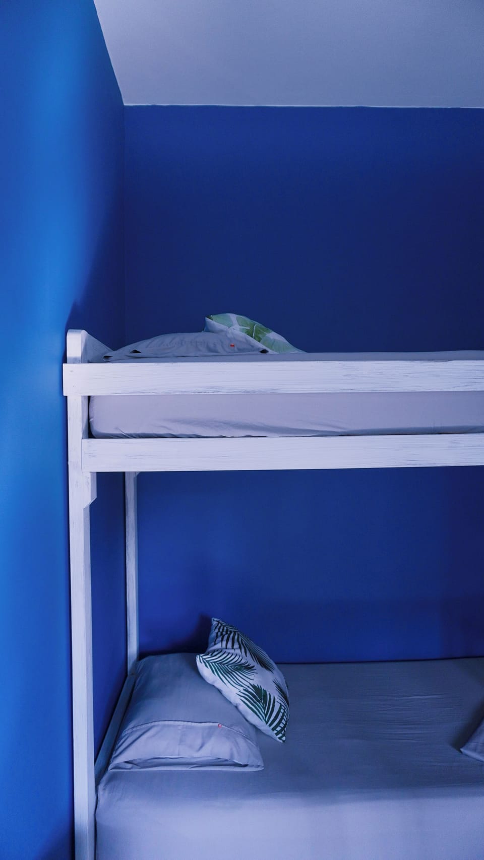 Standard Shared Dormitory, Women only | Laptop workspace