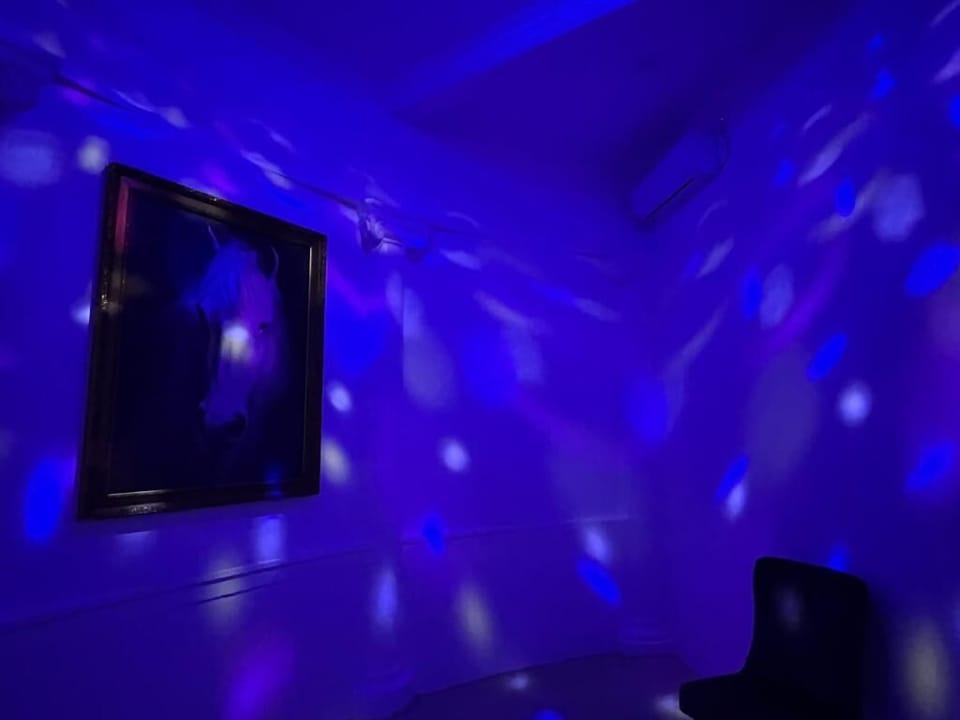 Karaoke room