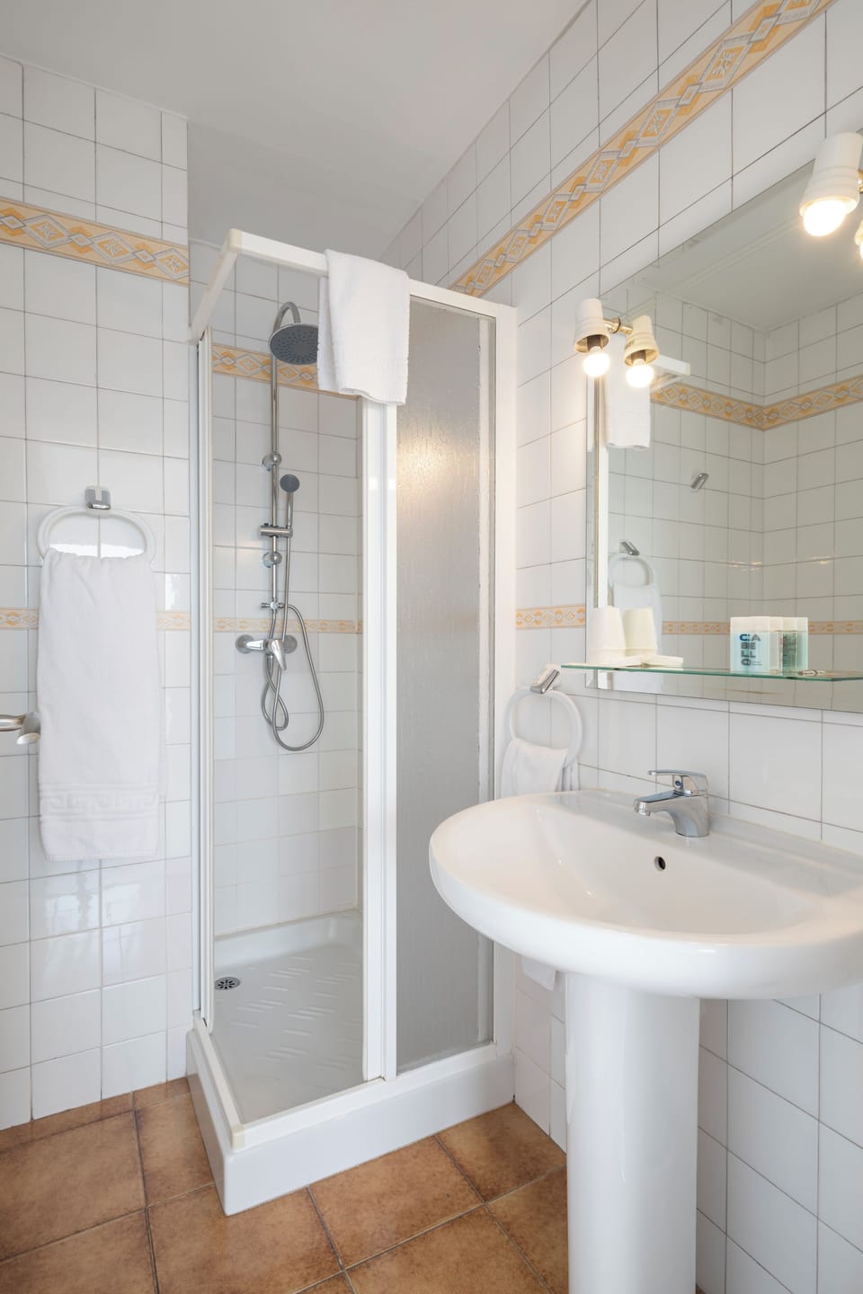 Towels, soap, shampoo, toilet paper