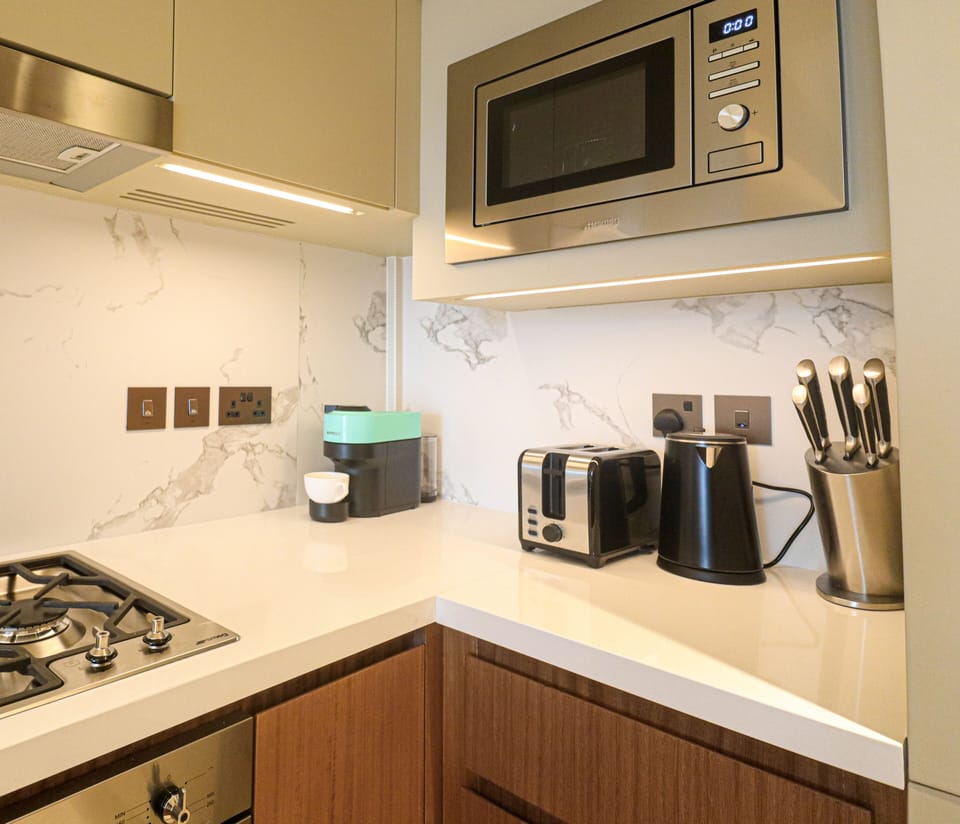 Deluxe Apartment, Balcony, City View | Private kitchen | Fridge, microwave, oven, stovetop