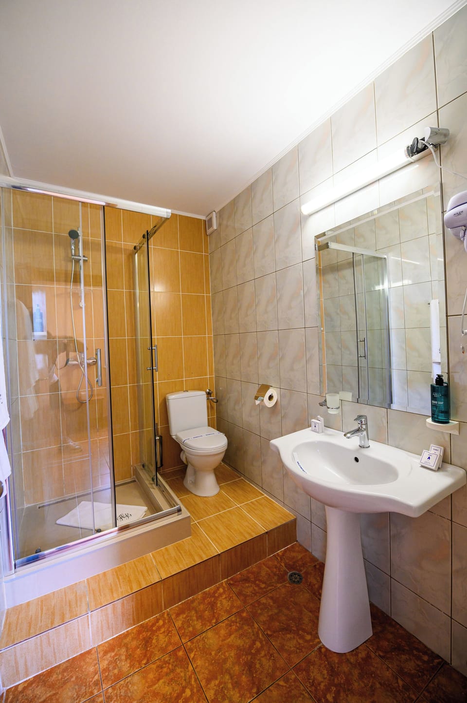 Hair dryer, slippers, towels, soap