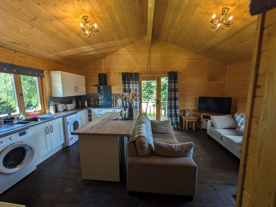 Cabin | Private kitchen | Fridge, microwave, oven, stovetop