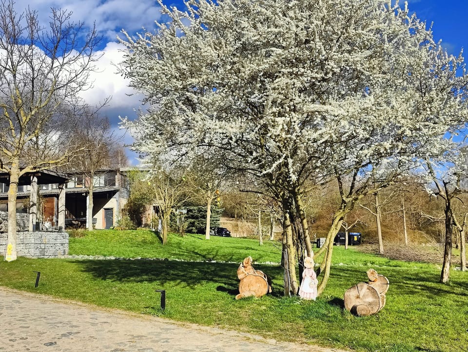 Children's play area - outdoor