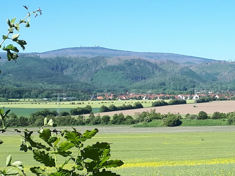 House | View from property