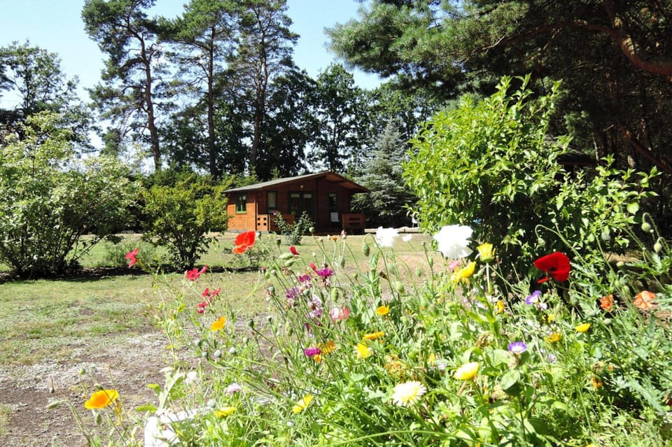 Bungalow | Exterior