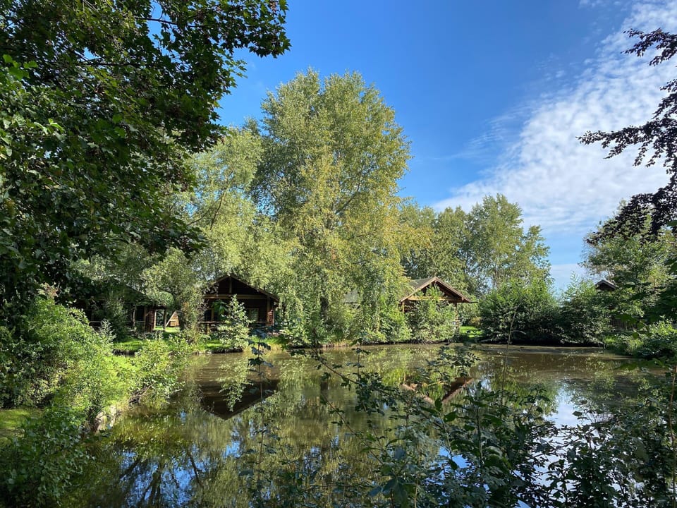 House | View from property